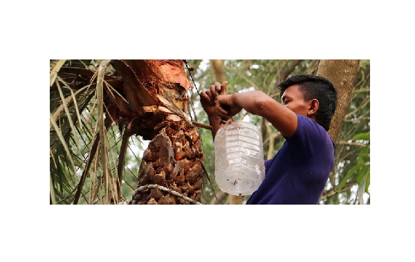 খেজুর রস সংগ্রহে প্লাস্টিক যুগের অশনি সংকেত!