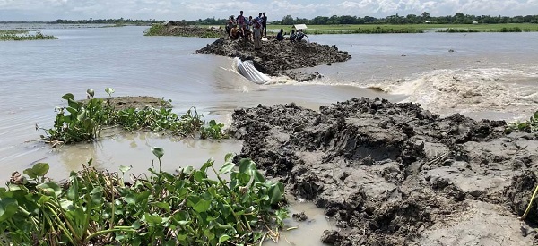 দাকোপে ওয়াপদা বেড়িবাঁধ ভেঙে ব্যাপক এলাকা প্লাবিত